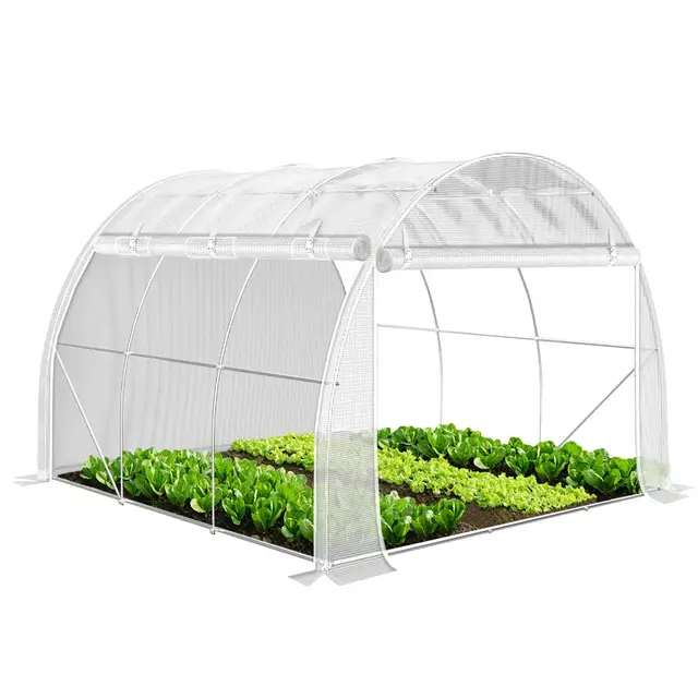 VOUNOT® Serre de Jardin Tunnel 300x300x200cm en Acier Galvanisé PE Haute densité 140 g/m² 9m2 Anti-UV avec Zip Enroulables Idéale pour Toutes Saisons