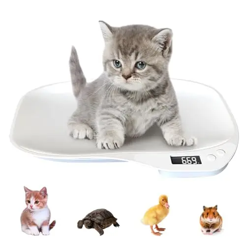 Zhwidnerso Balance Numérique 15kg