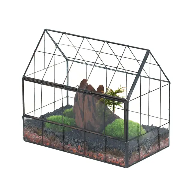 NCYP 24x14x20,6cm Petite Terrarium en Verre à Ouverture Frontale, Jardinière géométrique fermée en Forme de Maison pour Plantes, Décoration de Table d'intérieur, Serre Vintage (Terrarium Uniquement)