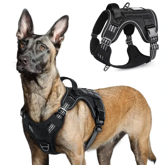 rabbitgoo Harnais Chien Tactique Noir L