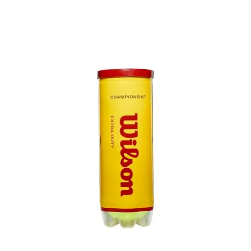 Wilson Champ Extra Duty Balles de Tennis
