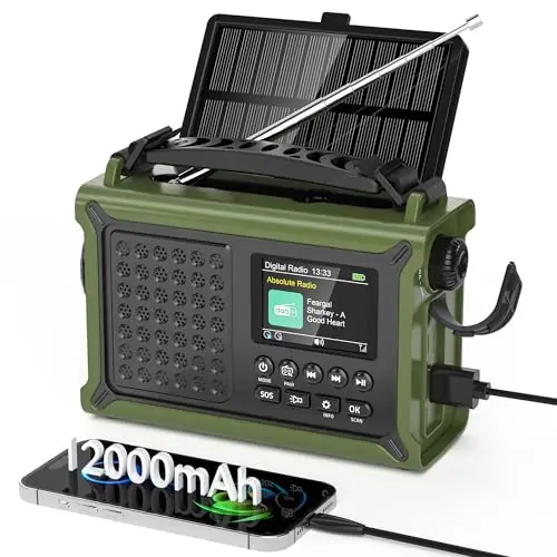 Radio Portable Dab/Dab+& FM, Radio Numérique avec Bluetooth 5.0, Écran Couleur 2,4", 12000mAh Power Bank pour Le Chargement d’Urgence du Téléphone Intelligent, 80 Stations Préréglées, Double Alarme