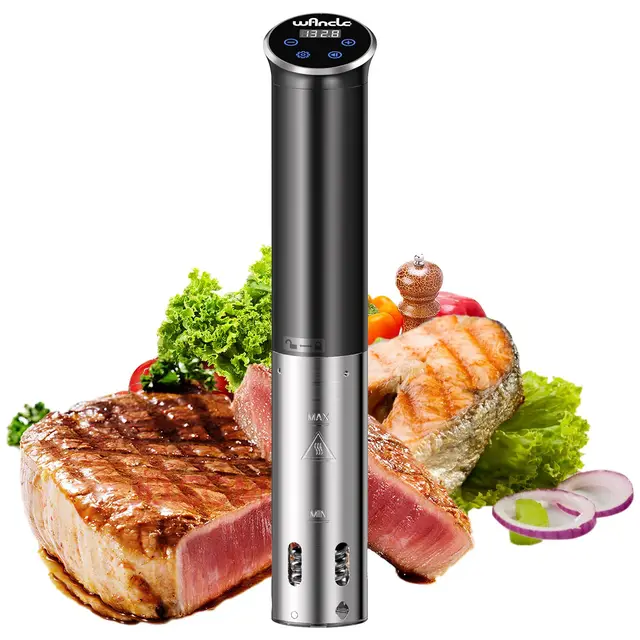 Cuiseur Sous Vide, Wancle Cuisson Sous Vide 1100W, Contrôle Précis de la Température, IPX7 Imperméable, Design Compact, Facile à Utiliser, 220V
