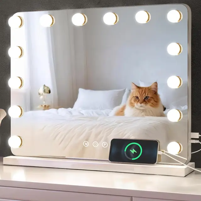 Baklon Miroir de Maquillage LED