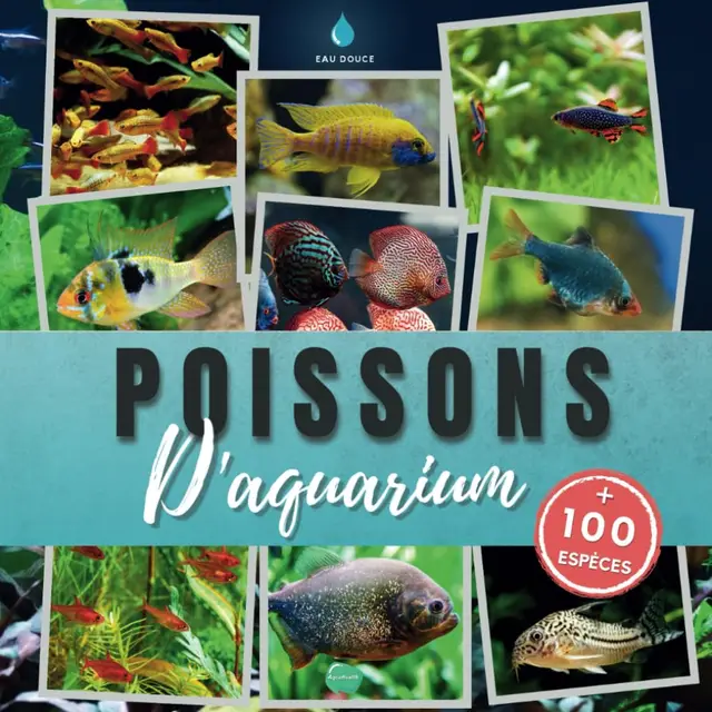 Guide des poissons d'aquarium