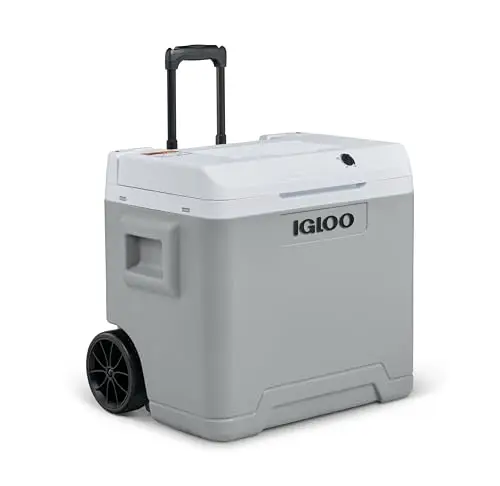 Igloo Ie24 Acdc Glacière électrique