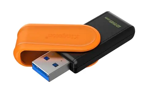 Kingston DataTraveler Exodia S Clé USB - 256Go - USB 3.2 Gen 1 - USB Type A - Noir/Orange - DTXS/256GB