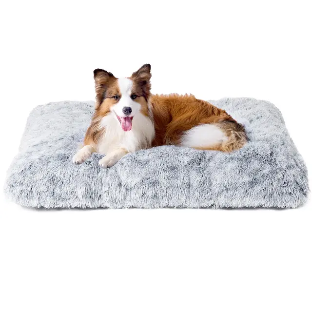 EHEYCIGA Panier pour Chien Gris 90x60cm