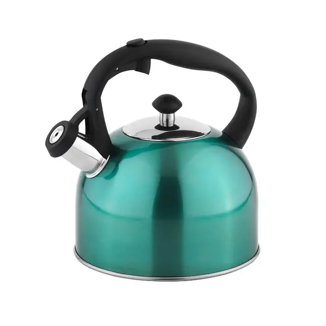 Amazon Basics Bouilloire inox, 2.3 l, Sarcelle