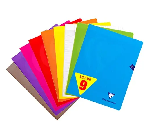 ClaireFontaine 299361AMZC Lot de 9 Cahiers Agrafés Mimesys - 24x32 cm - 96 Pages Grands Carreaux 90 g - Couvertures Polypro Assorties (Bleu, Rouge, Jaune, Vert, Gris, Violet, Orange, Rose et Incolore)