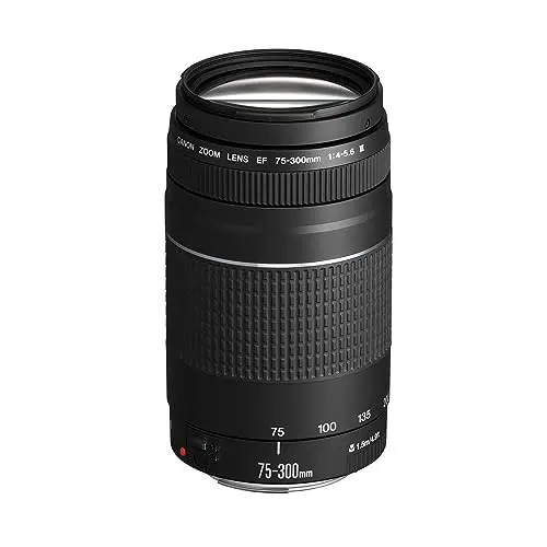 canon ef 75-300mm f/4-5.6 iii