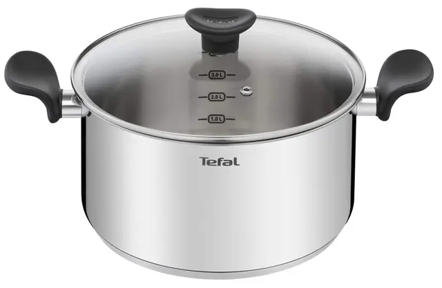 Tefal E3084604 Faitout inox 24 cm