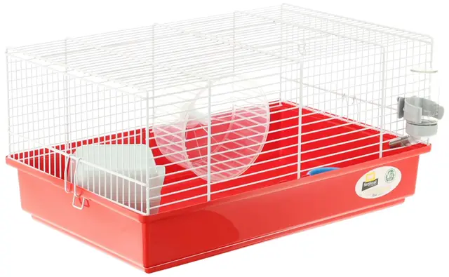 Ferplast Cage pour Hamsters Petits Rongeurs CRICETI 9,Cage Hamster en Plastique, Accessoires Inclus: Roue Hamster, Biberon, Maison Hamster, Mangeoire 46 x 29,5 x h 23 cm.