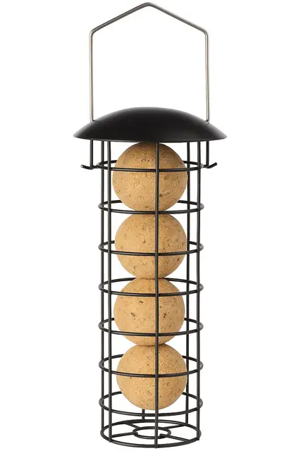 Mangeoire Oiseaux extérieur – Corrie Noir – 23,5 cm – pour Boules de Graisse – Métal résistant aux intempéries – Couvercle Amovible – Flamingo