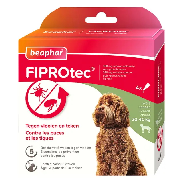beaphar fiprotec spot-on grand chien