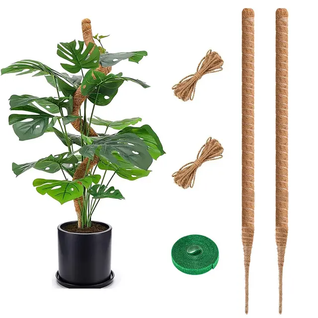Tuteur Monstera 75 cm Lot de 2, Tuteur Plante en Fibre de Coco Naturelle, Support Solide pour Plantes Grimpantes d’Intérieur, Tuteur Coco Flexible pour Monstera, Pothos et Philodendron