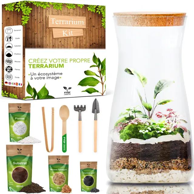Kit Terrarium Plante DIY avec Verre - Kit Prêt-à-Pousser pour la Création de Jardin en Bouteille - Prêt-Pousser Terrarium - Set pour Faire Pousser (sans la Plante)