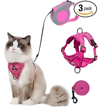 QKTYB Harnais pour Chat avec Laisse