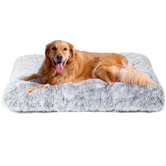 EHEYCIGA Lit pour Chien XXL Gris