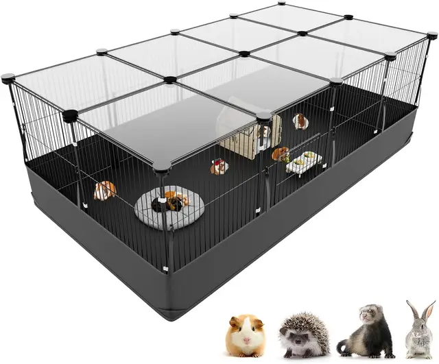 aystkniet cage lapin cochon inde