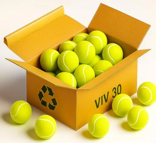 VIV Balles de Tennis d'entraînement