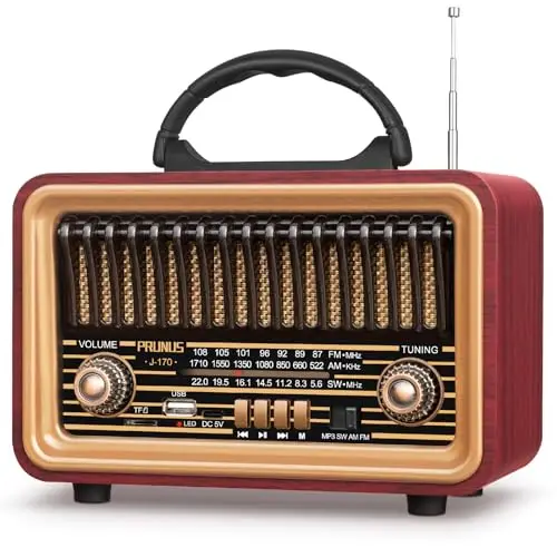 PRUNUS J-170 Radio rétro AM/SW/FM, Petite Radio Portable, 1800 mAh, Rechargeable avec Haut-Parleur Bluetooth 7 W, Radio Vintage Prend en Charge la Fonction USB/TF/TWS/BT5.0