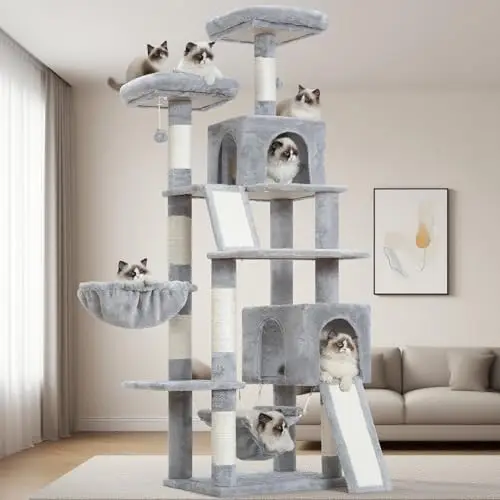 Gitelsnour Arbre à Chat 180cm