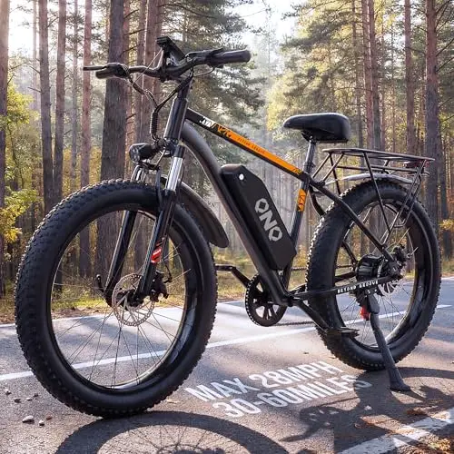 QnQ EB26 VTT électrique