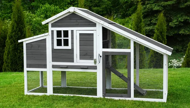 Miweba my animal Poulailler MH-32 XXL avec pondoir - Bois de pin - Résistant à l'hiver - Enclos à Deux Niveaux - Nichoir - Maison pour Poules - Volière pour Poules - Cage à Poules