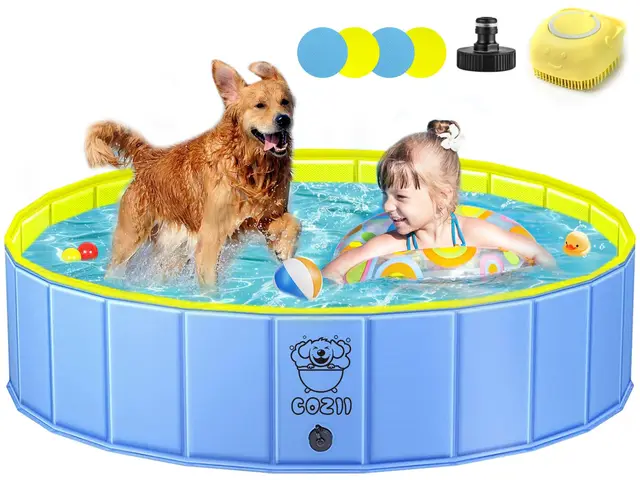 COZII Pataugeoire pour chien, 120 x 30 cm, pliable, antidérapante, durable, grande pataugeoire pour chiens, planche en polypropylène améliorée de 6 mm et PVC rigide, piscine portable pour enfants