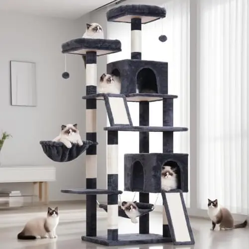Gitelsnour GCT032G Arbre à Chat 180cm