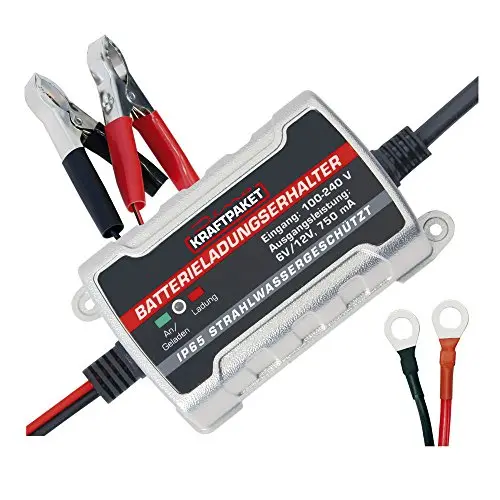 Dino Power Pack de 6 V/12 V 750 mAh Chargeur automatique pour Batterie