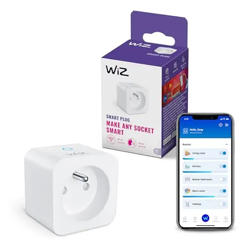 WiZ Smart Plug Wi-Fi, Type E, 230 V, 50 Hz, Installation Facile, Certifié Matter, Contrôles Intelligents, Commande Vocale, Compatible Alexa, Google Home et Apple Home, Pack de 1