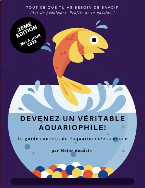Guide Complet Aquarium d'Eau Douce