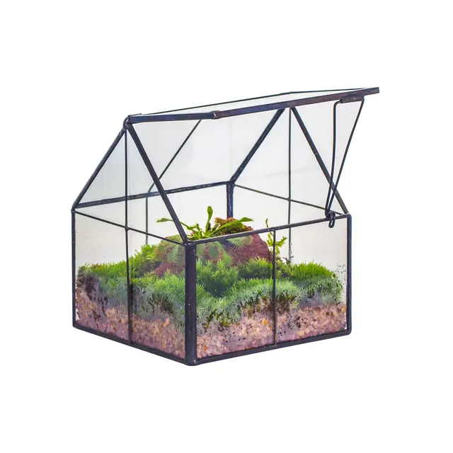 NCYP 10,8x10,8x12,5 cm Mini Noir Terrarium Géométrique en verre avec couvercle Fait à la main, Pour petites plantes succulentes, Décoration de table pour la maison jardin bureau (Terrarium Uniquement)