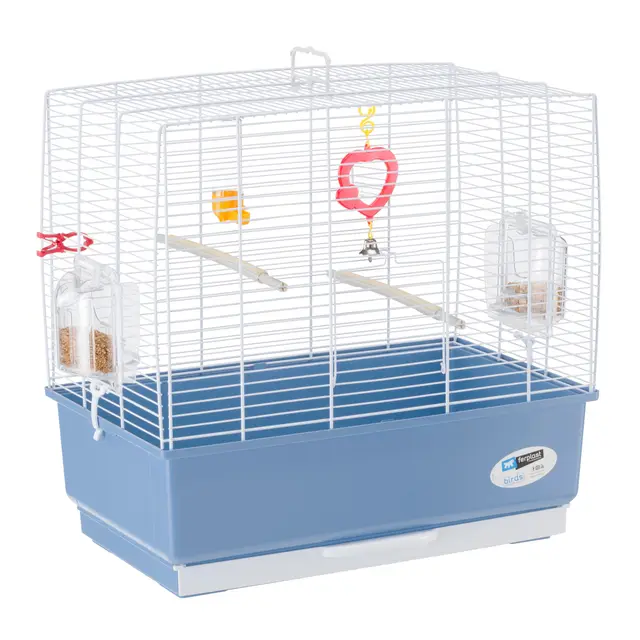 Ferplast Cage rectangulaire pour oiseaux exotiques et canaris REKORD 3, livrée avec accessoires et mangeoire tournante, métal robuste vernis blanche et bac en plastique Bleu, 49 x 30 x h 48,5 cm