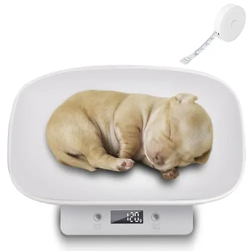 Balance numérique pour petits animaux de compagnie : Nizirioo Petite balance pour animaux de compagnie Balance bébé Balance d'alimentation Grammes et onces 15 kg avec précision ± 1 gramme Bol amovible