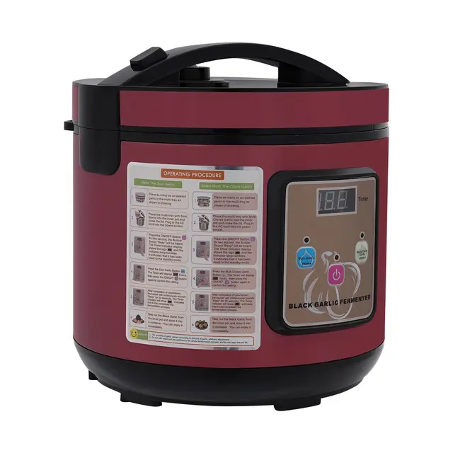 DHQCQL Fermenteur d'ail 6L