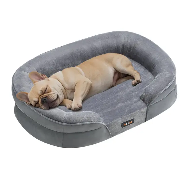 Feandrea Panier pour Chien de Taille Moyenne, 76 x 51 x 18 cm, Orthopédique, Mousse Alvéolée, Doublure Hydrofuge, Bords Surélevés, Housse Amovible et Lavable, Antidérapant, Gris Clair PGW281G01