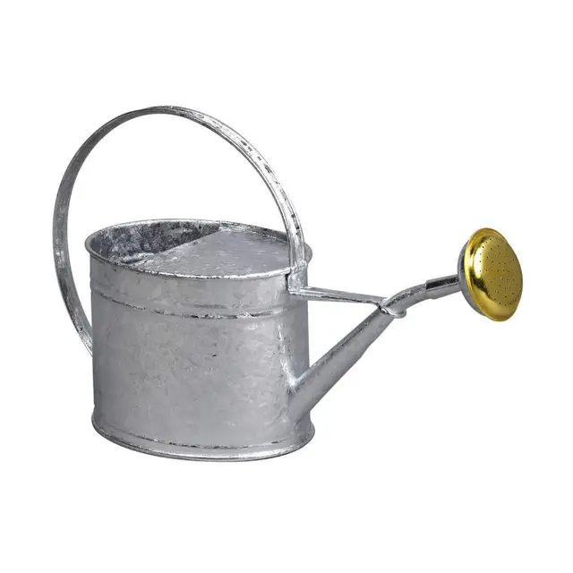 Guillouard 80320 Arrosoir galvanisé
