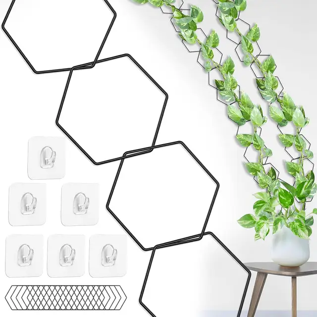 Treillis à Chaîne pour Plantes Grimpantes - Support Mural pour Pothos, Monstera, Hedera - Plantoirs d’Intérieur