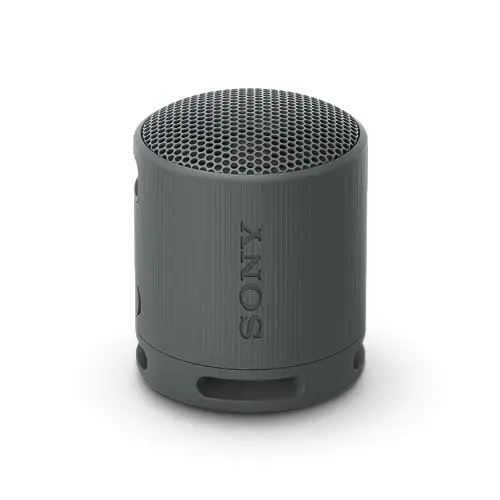 Sony SRS-XB100 Enceinte Bluetooth portable