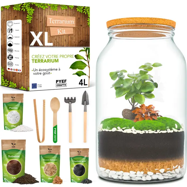 DIY Kit Terrarium Plante XL avec Verre 4L - Terrarium Verre - Kit DIY a Faire Pousser pour Jardin en Bouteille - (sans Plante)