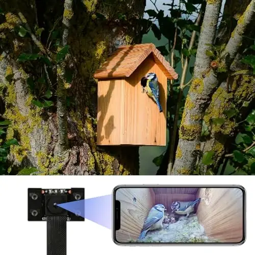 WIWACAM Mini caméra pour nichoir, Wi-FI 4K HD, avec Transmission en Direct sur téléphone Portable, Vision Nocturne, Batterie, Camera pour Mangeoire, Caméra d'observation des Oiseaux