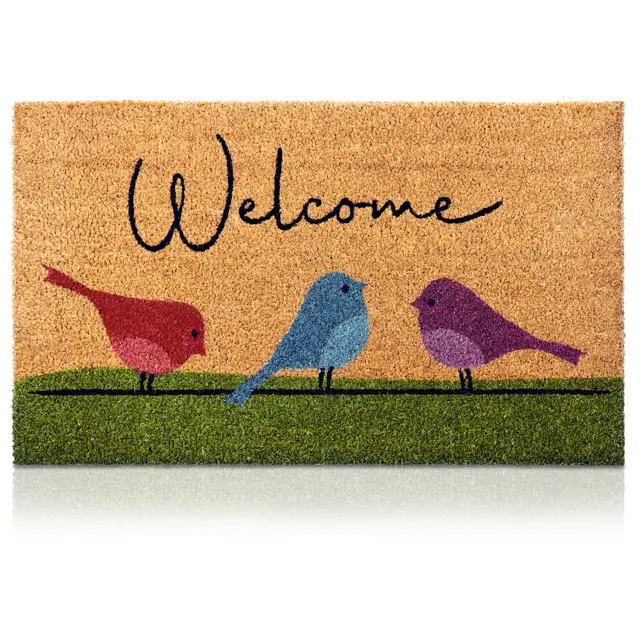 Paillasson oiseaux colorés en fibre de coco - 70 x 40 cm - Paillasson antidérapant - Paillasson original pour l'entrée de la maison, les couloirs, les portes extérieures - Accessoires pour la maison -