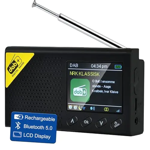 Radio Dab, Dab+ Bluetooth Portable | Batterie Rechargeable ou Alimentation par câble USB-C | 12 Heures de Lecture, Affichage LCD 2.4“, Prise Casque | Double Alarme, FM, 40+ présélections