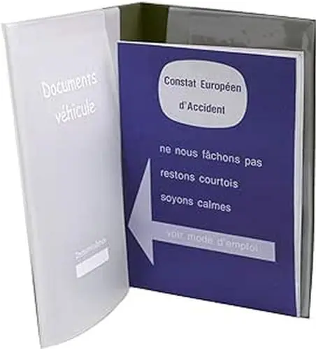 AUXENCE Pochette de Rangement Véhicule