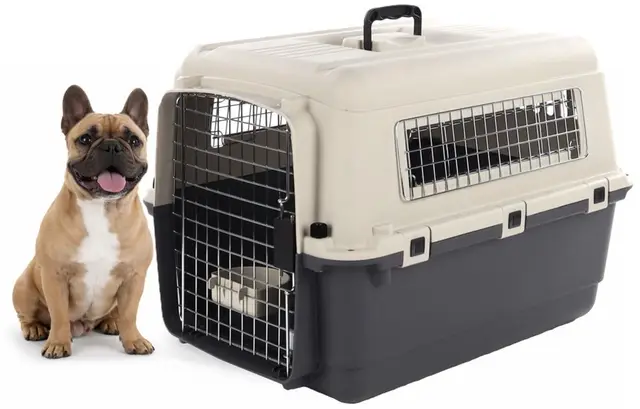 Cage pour Chien - Cage de Transport Chien - Flamingo Fomad Gris foncé - M 53 x 67 x 47 cm - Plastique Robuste - Porte métallique - verrou de sécurité - poignée - gamelle Amovible