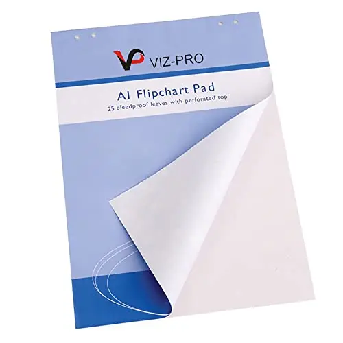 VIZ-PRO Lot de 25 feuilles de papier pour chevalet A1 841 x 594 mm
