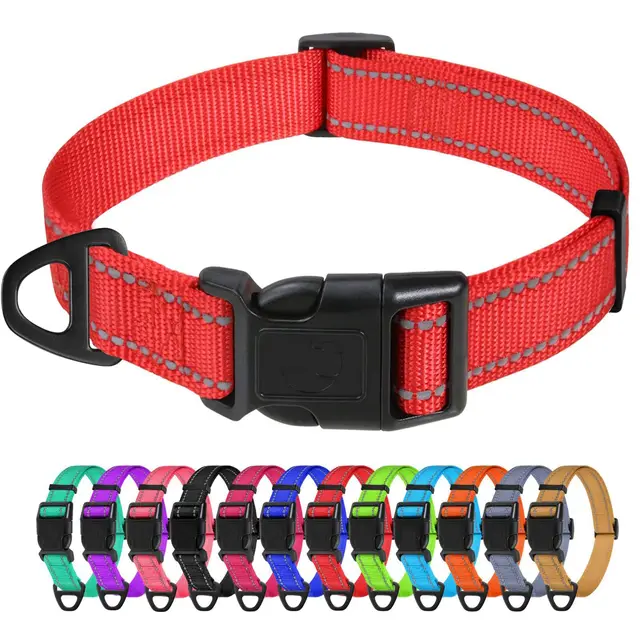 tagme collier chien nylon reflechissant
